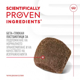 Хранителна добавка за кучета Royal Canin Digestion Adult Supplement  за добро храносмилане 